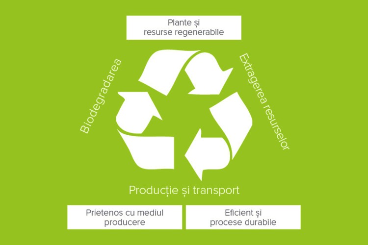 Graficul arată ciclul de la extracția de materii prime certificate prin procese de fabricație ecologice până la materiale și produse ecologice.