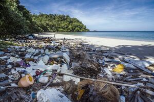 A beach with forests in the background is littered with plastic waste. In addition to mood.